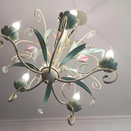 Haffnera * 索波特