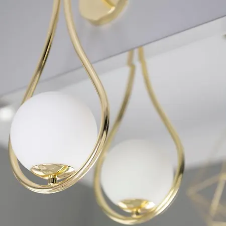 Haffnera * 索波特